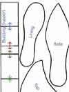 Gumpaste Shoe Patterns Free