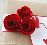 Rolled Paper Roses