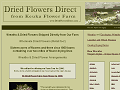 Dried Flowers Direct Ships Wholesale Dried Flowers and Wreaths