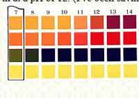 Determining Your Soaps PH