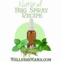 Homemade Natural Bug Spray