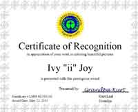 Customizable Recognition Certificate