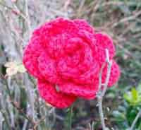 Rose Brooch