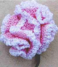 Sparkling Carnation Pin