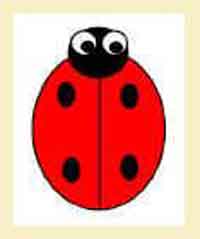 Lady Bug