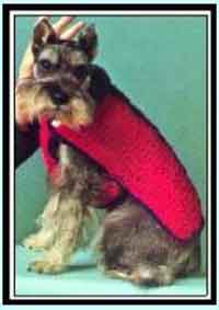 Dog Sweater w/ Stripe