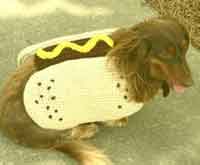 Hot Dog Coat