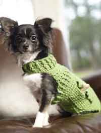 Dapper Doggie Sweater