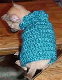 Bobbies Doggie Sweater