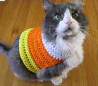 Candy Corn Pet Sweater