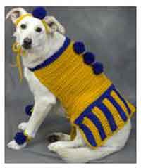 Cheerleader Dog Coat