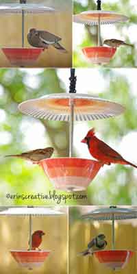 Plate and Bowl Bird Feeder