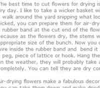 Learn to Dry Flowers