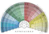 Genealogy Fan Tutorial