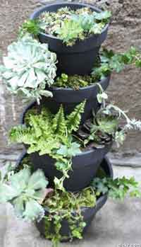 Make a Planterfall Container Garden