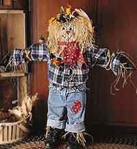 Friendly Scarecrow