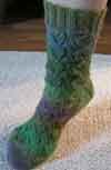 Maidenhair Fern Socks