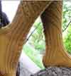 Treetop Knee High Socks