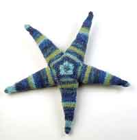 Starlet starfish 