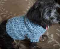 Izzys Hooded Dog Sweater