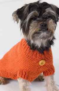 Orange Dog Sweater