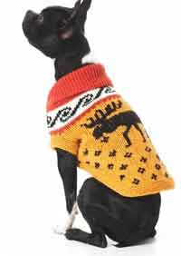 Cowichan Style Dog Coat