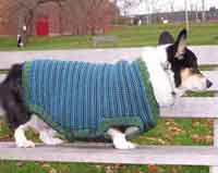 Doggys Got Style Sweater