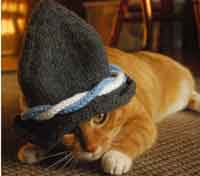 Ein Prosit Germany Cat Hat