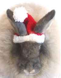 Santa Bunnys Hat