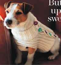 Button Up Dog Sweater