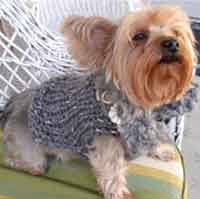 Furrrocious Dog Sweater