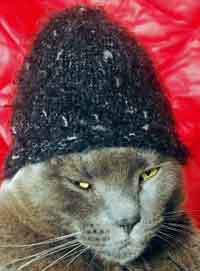 UK Cat Hat
