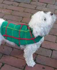 Holiday Doggy Coat