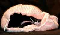 Knitted Cat Tunnel