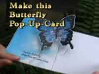 Butterfly Pop-up Card