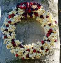 Popcorn Cranberry Wreath for the Birds