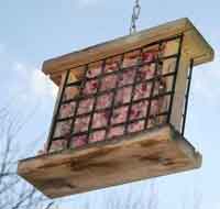 Festive Suet