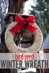 Bird Seed Winter Wreath Tutorial