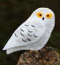 A Downeast Thunder Farm Snowy Owl