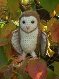 Soren the Barn Owl