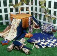 Patriotic Picnic Set