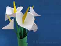 How to Make an Origami Calla Lily