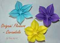 Origami Carambola Flowers