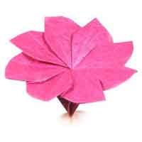How to make an origami clematis flower