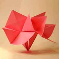 Origami Blossom Instructions