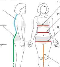 Dressmaking Measurements Tutorial