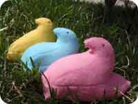 Marshmallow Chick Plushies