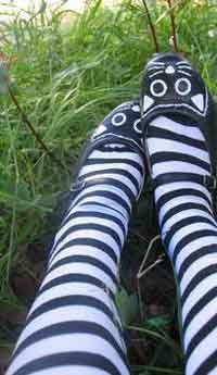 Kitty Cat Shoes