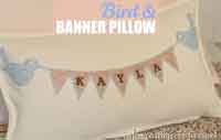 Bird and Banner Pillow