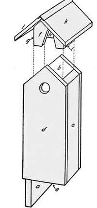 Flicker bird house plan